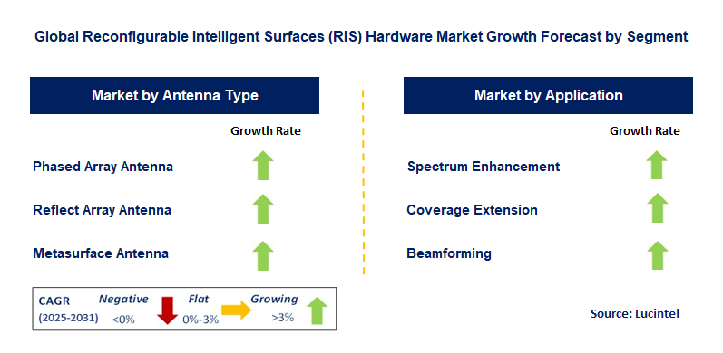 Reconfigurable Intelligent Surfaces (RIS) Hardware Market by Segment