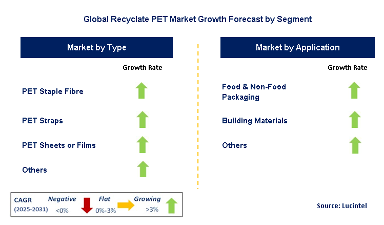 Recyclate PET Market by Segment