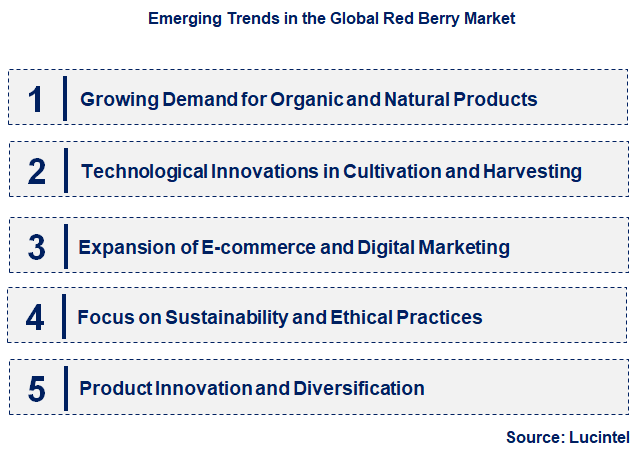Emerging Trends in the Red Berry Market