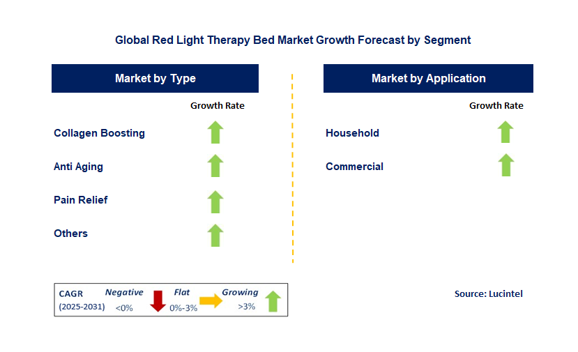 Red Light Therapy Bed Market by Segment