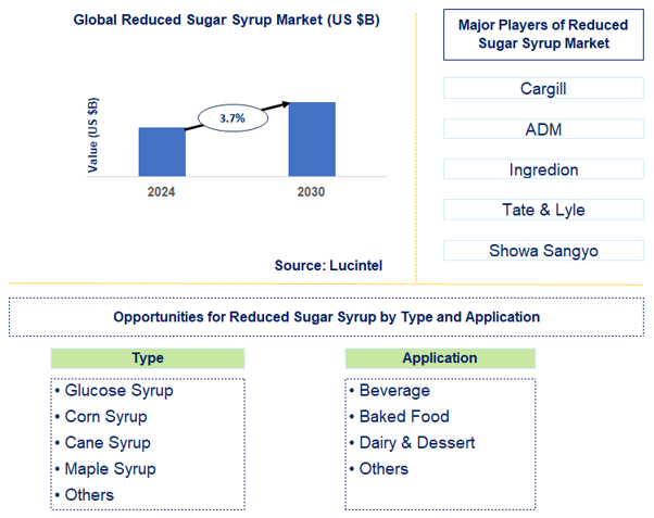 Reduced Sugar Syrup Trends and Forecast