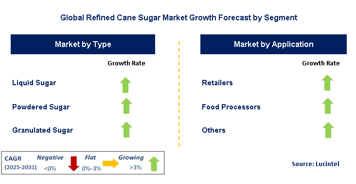 Refined Cane Sugar Market by Segment