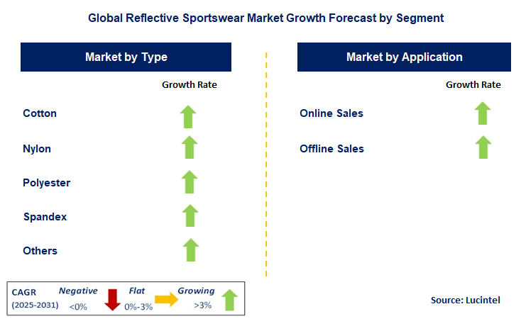 Reflective Sportswear Market by Segment