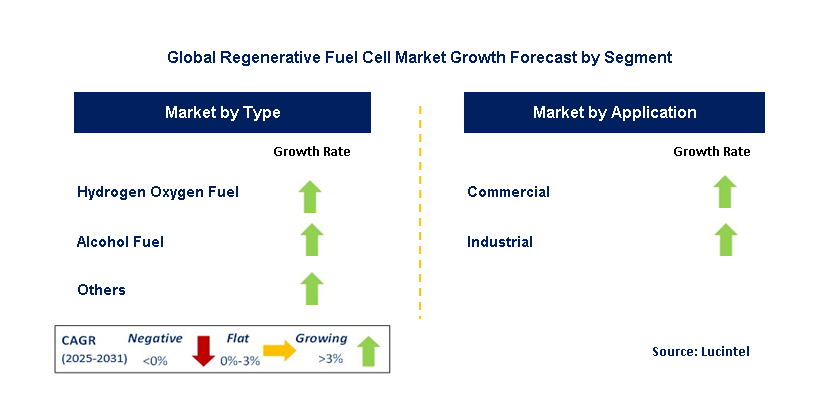 Regenerative Fuel Cell Market by Segment