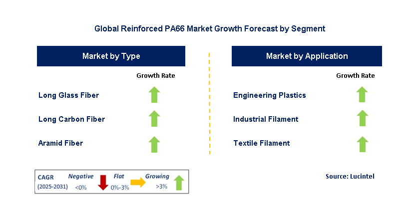 Reinforced Pa66 Market by Segment
