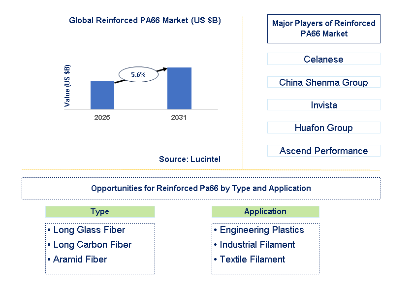 Reinforced Pa66 Market Trends and Forecast