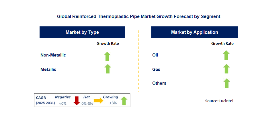 Reinforced Thermoplastic Pipe Market by Segment