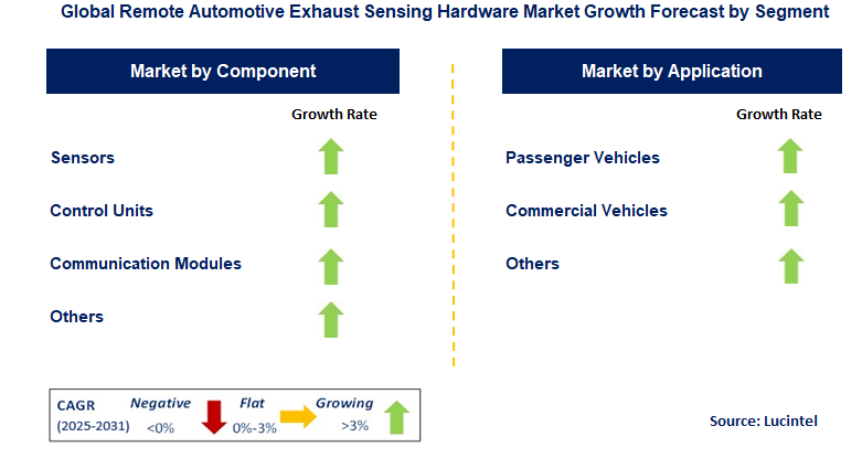 Remote Automotive Exhaust Sensing Hardware Market by Segment