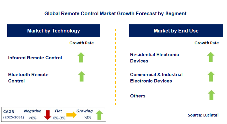 Remote Control Market by Segment
