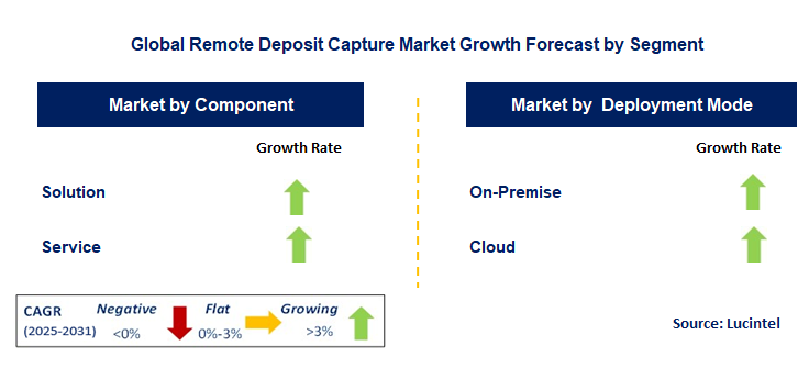 Remote Deposit Capture Market by Segment