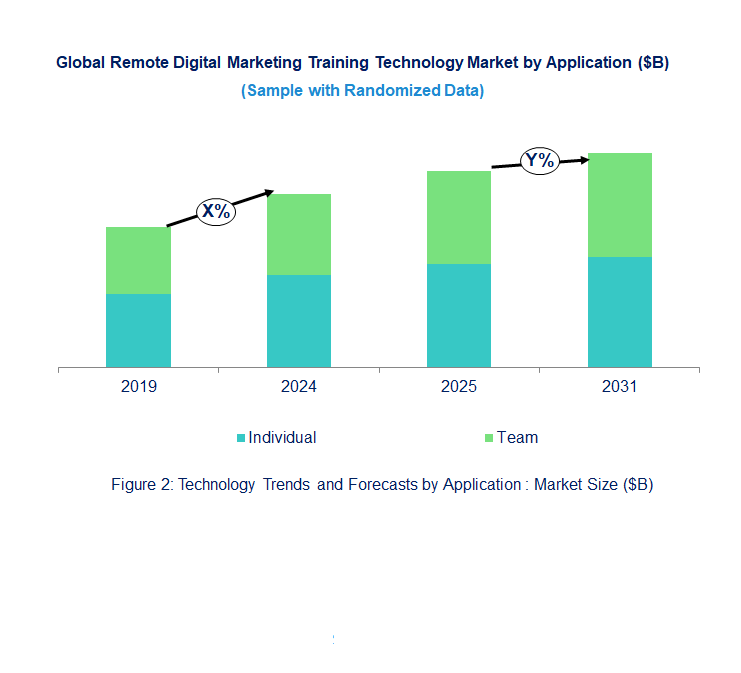 Remote Digital Marketing Training Market by Application 