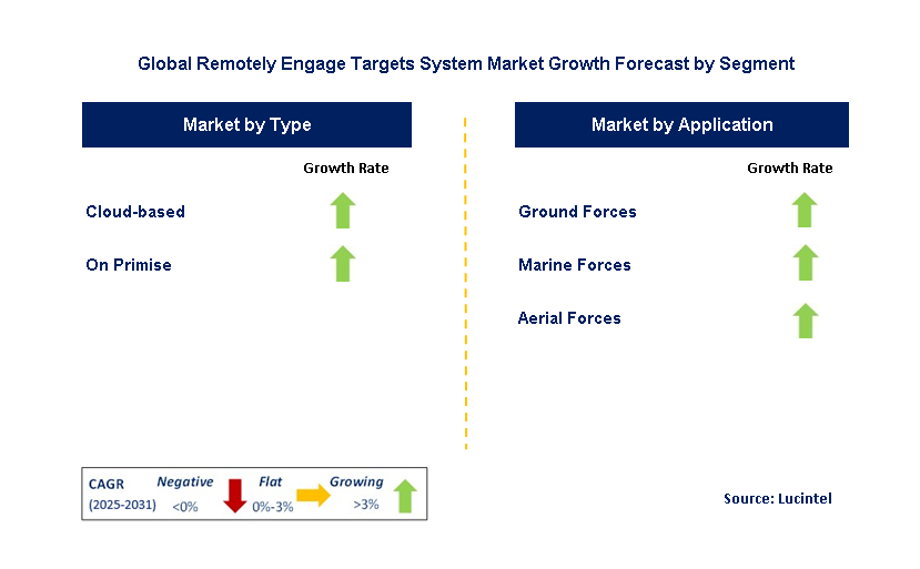 Remotely Engage Targets System Market by Segment