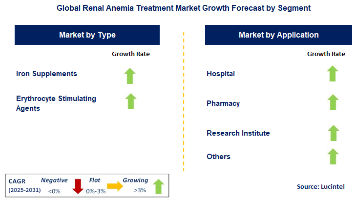 Renal Anemia Treatment Market by Segment