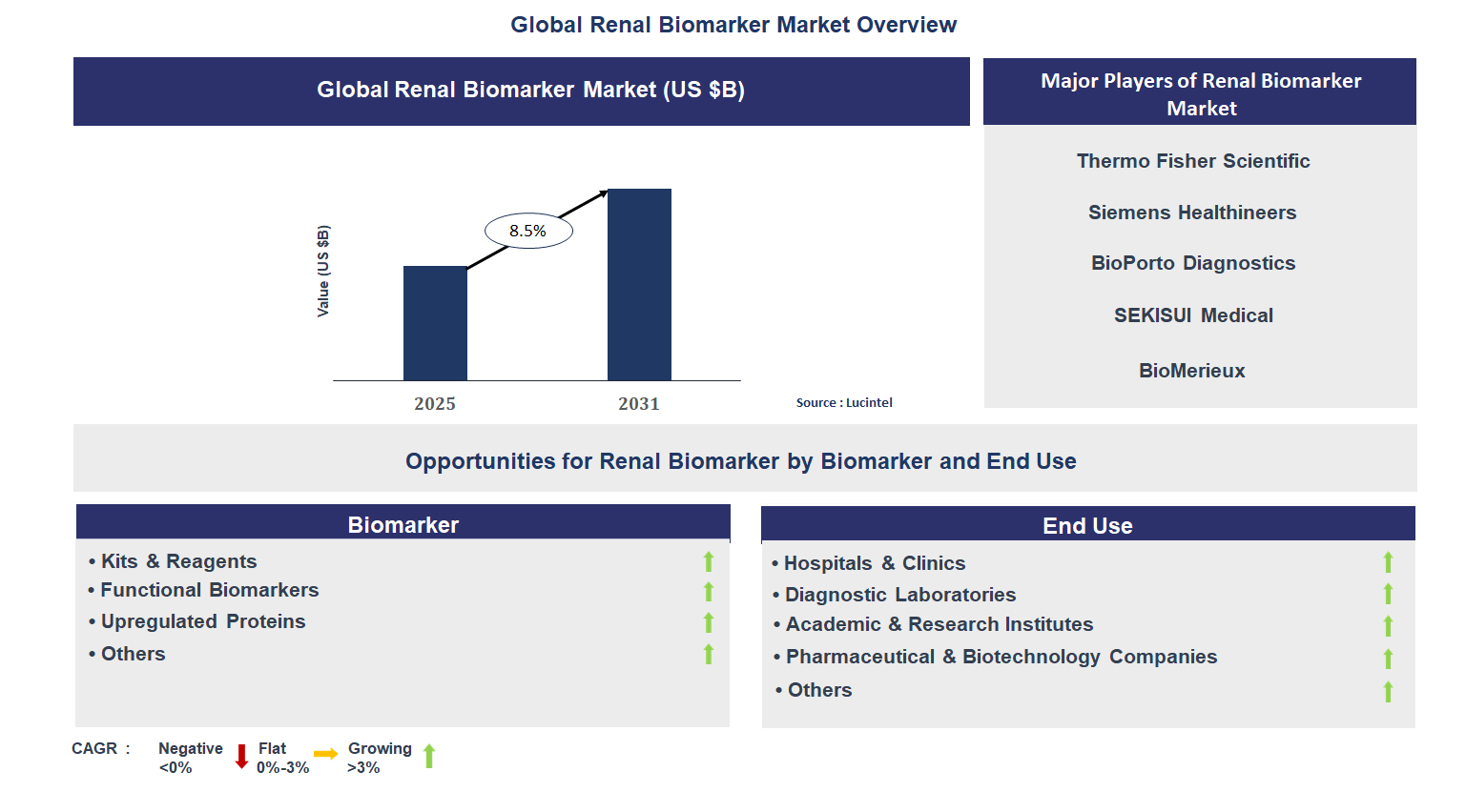 Renal Biomarker Market Trends and Forecast