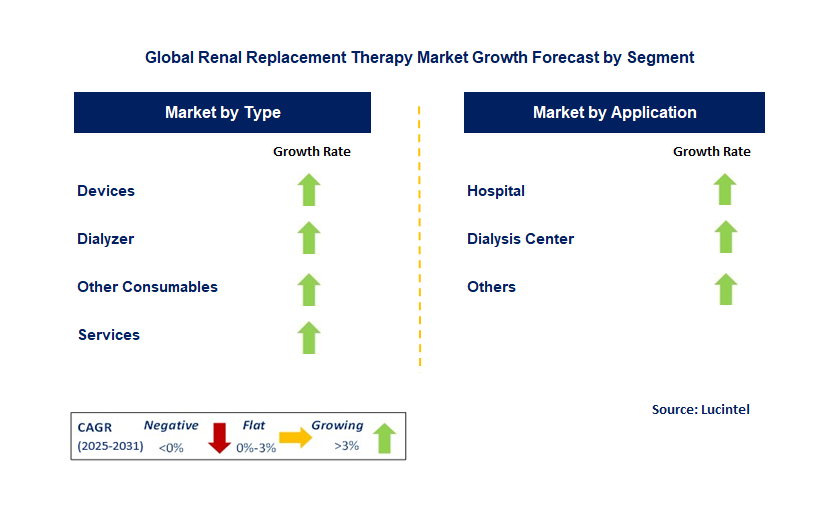 Renal Replacement Therapy Market by Segment