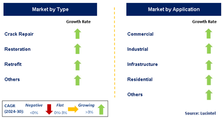 Repair Construction Market by Segment