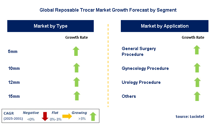 Reposable Trocar Market by Segment