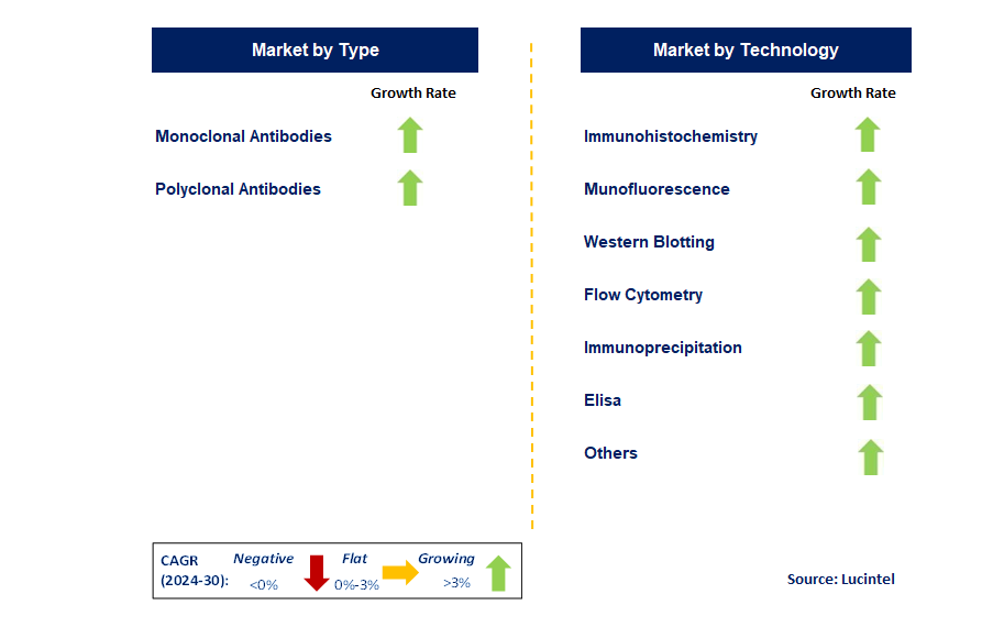 Research Antibodies by Segment