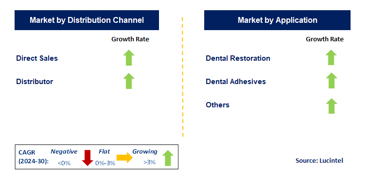 Resin Dental Material by Segment