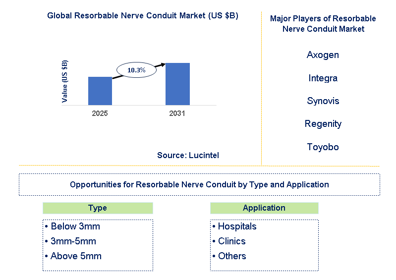 Resorbable Nerve Conduit Market Trends and Forecast
