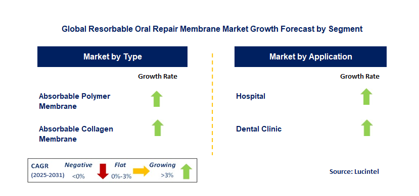 Resorbable Oral Repair Membrane Market by Segment