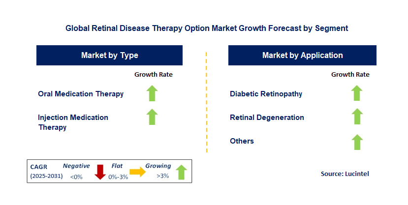 Retinal Disease Therapy Option Market by Segment