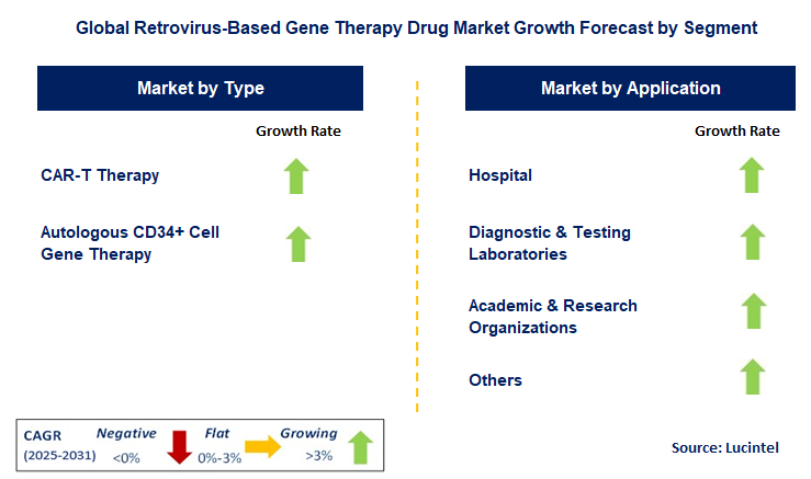 Retrovirus-Based Gene Therapy Drug Market by Segment