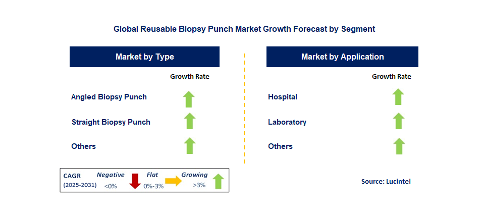 Reusable Biopsy Punch Market by Segment