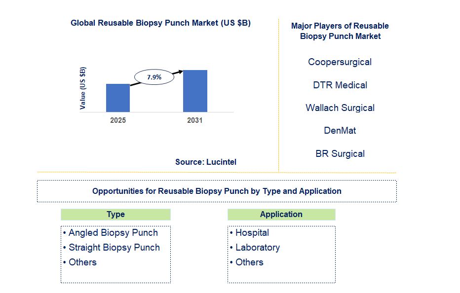 Reusable Biopsy Punch Market Trends and Forecast