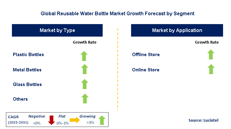 Reusable Water Bottle Market by Segment