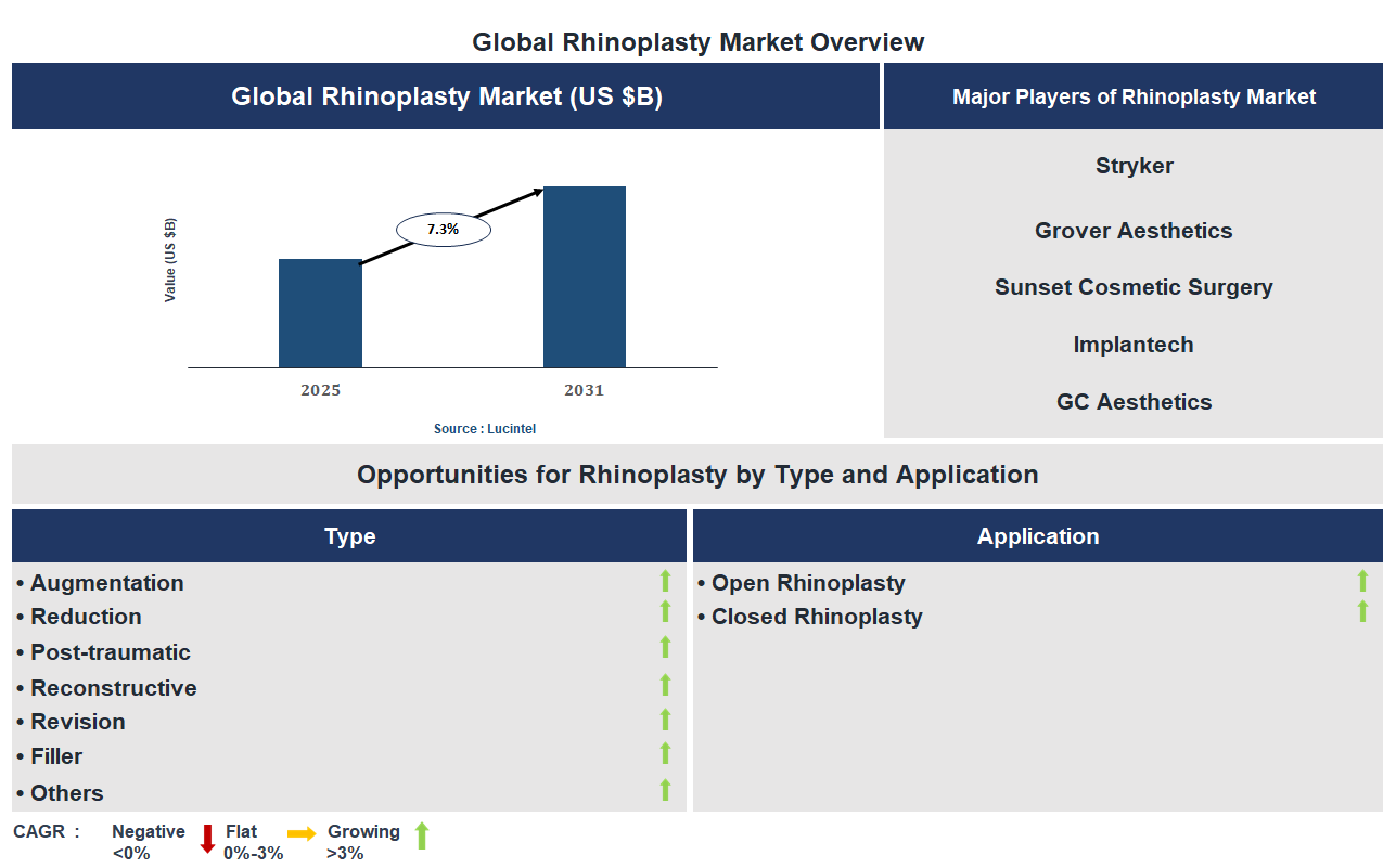 Rhinoplasty Market Trends and Forecast
