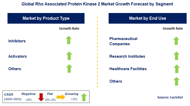 Rho Associated Protein Kinase 2 Market by Segment