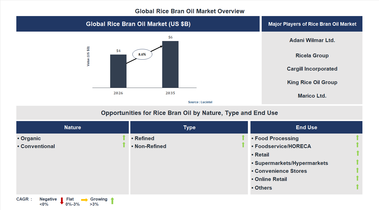 Rice Bran Oil Market Trends and Forecast