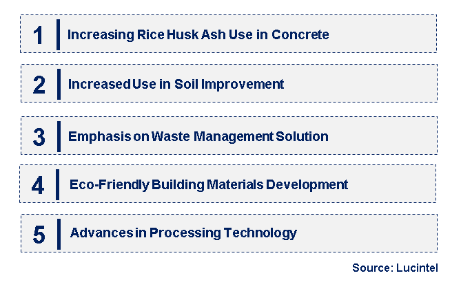 Emerging Trends in the Rice Husk Ash Market