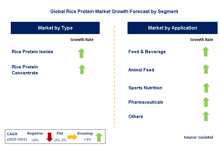 Rice Protein Market by Segment