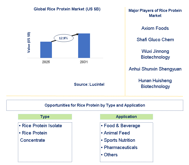 Rice Protein Market Trends and Forecast