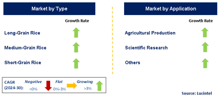 Rice Seed Market by Segment
