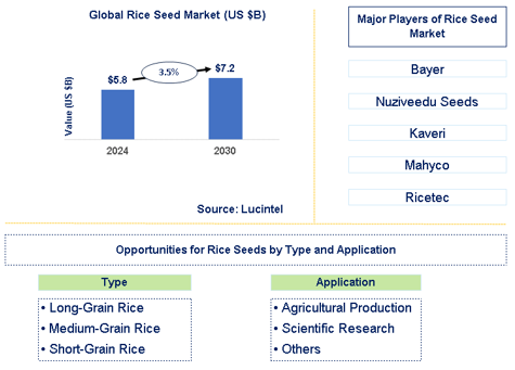 Rice Seed Market Trends and Forecast
