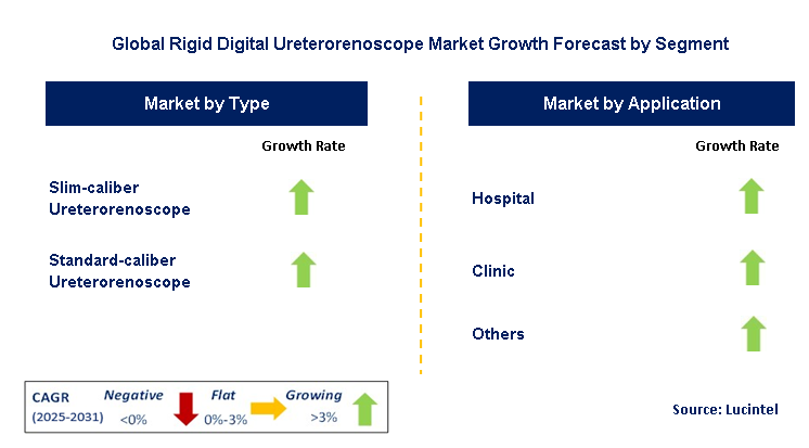 Rigid Digital Ureterorenoscope Market by Segment