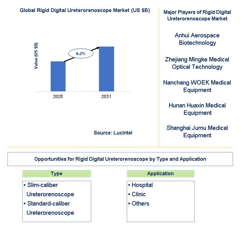 Rigid Digital Ureterorenoscope Market Trends and Forecast