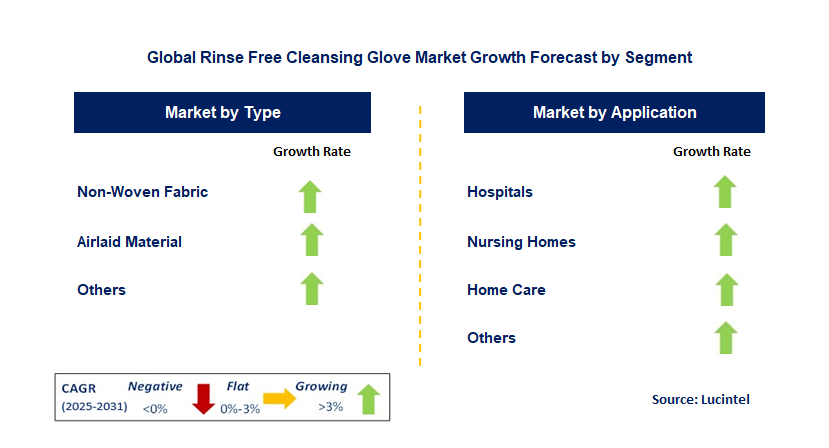 Rinse Free Cleansing Glove Market by Segment