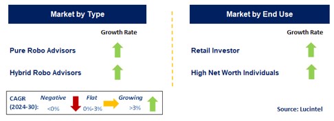 Robo Advisory by Segment