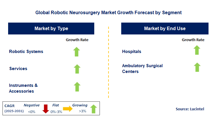 Robotic Neurosurgery Market by Segment
