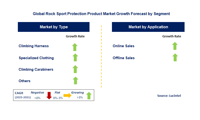 Rock Sport Protection Product Market by Segment