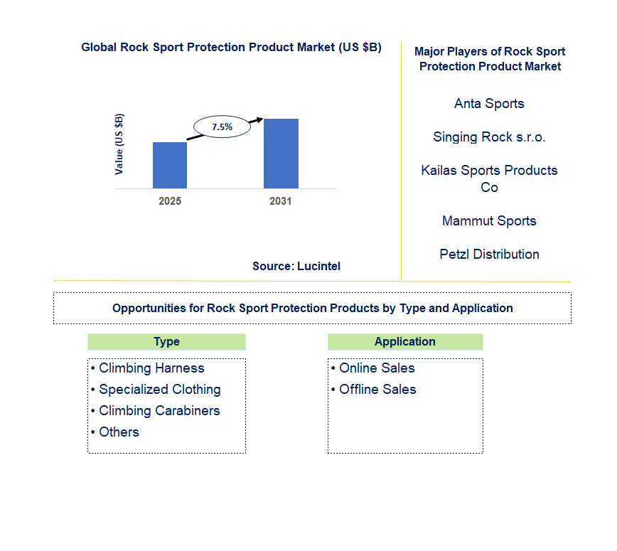 Rock Sport Protection Product Market Trends and Forecast