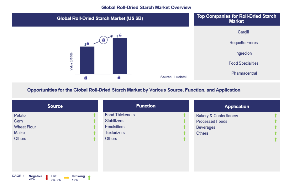 Roll-Dried Starch Trends and Forecast