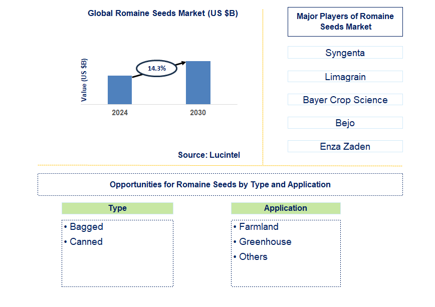 Romaine Seeds Trends and Forecast