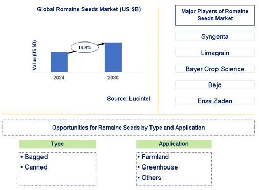 Romaine Seeds Market Trends and Forecast