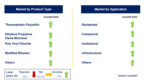 Roofing Membrane Market by Segment