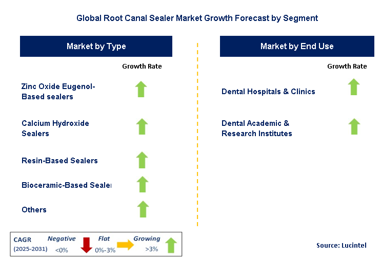 Root Canal Sealer Market by Segment
